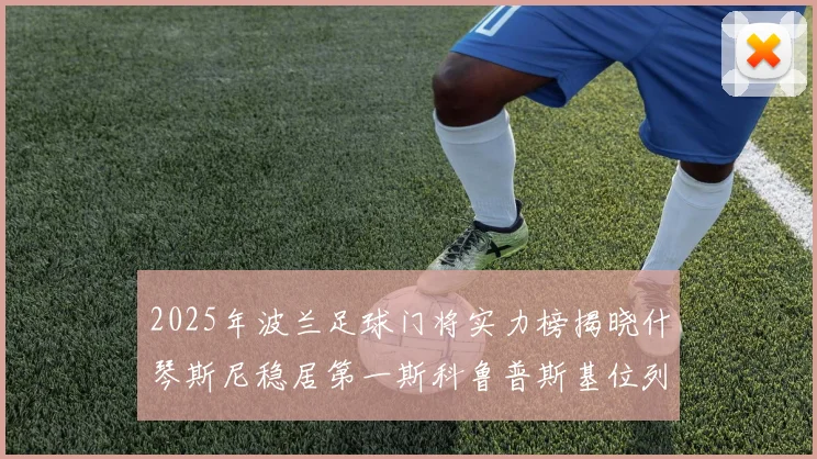 2025年波兰足球门将实力榜揭晓什琴斯尼稳居第一斯科鲁普斯基位列第三